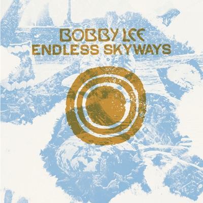 Endless Skyways - Bobby Lee