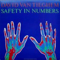 Safety in Numbers - David Van Tieghem