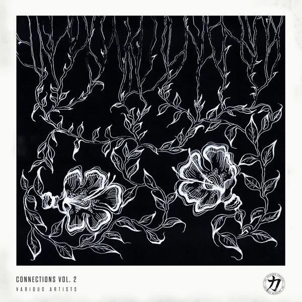 Connections Vol. 2 - Mystic State & Third Degree
