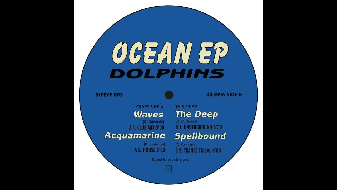  - Dolphins