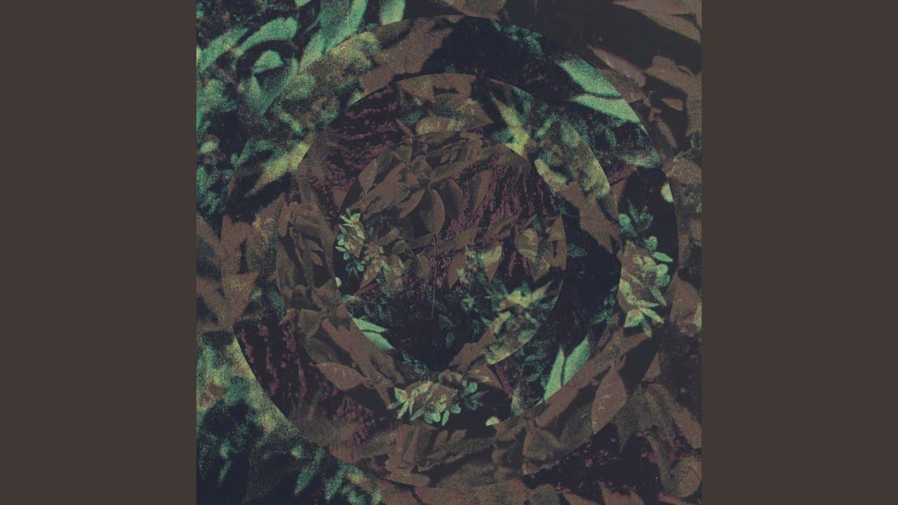 treehut visions - Günter Schlienz