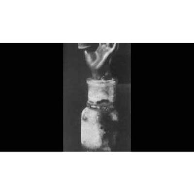 Muteual Mortuary - Hateless Insanity - Muteual Mortuary