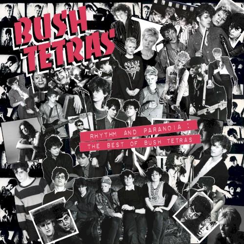 Rituals - Bush Tetras