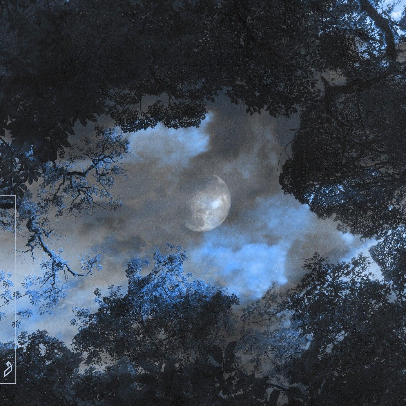 Holding Me Back (The Kite String Tangle's Stripped Back Version) - Nils Hoffmann, The Kite String Tangle