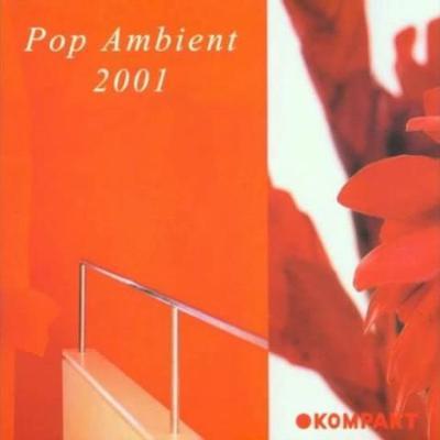 Pop Ambient 2001 (Kompakt) - Reinhard Voigt