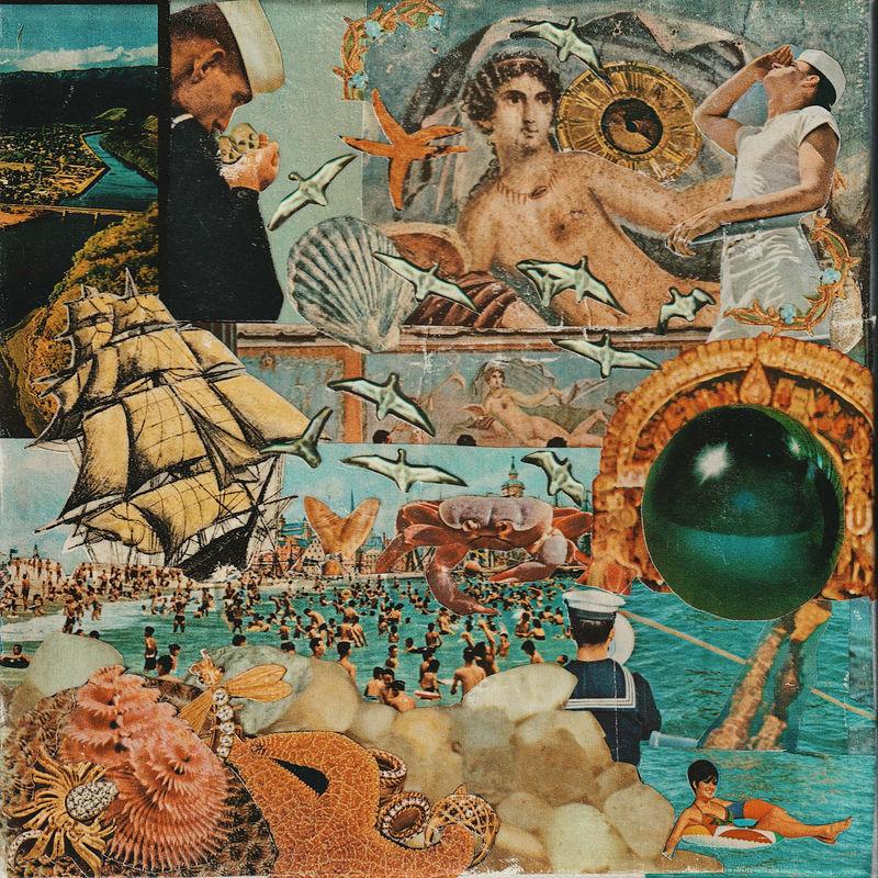Seashell - Oliphant