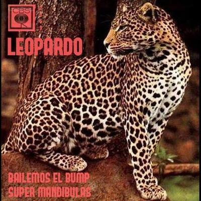  - Leopardo