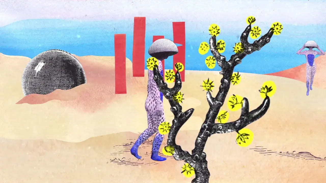 The Age Of Immunology - Vanishing Twin