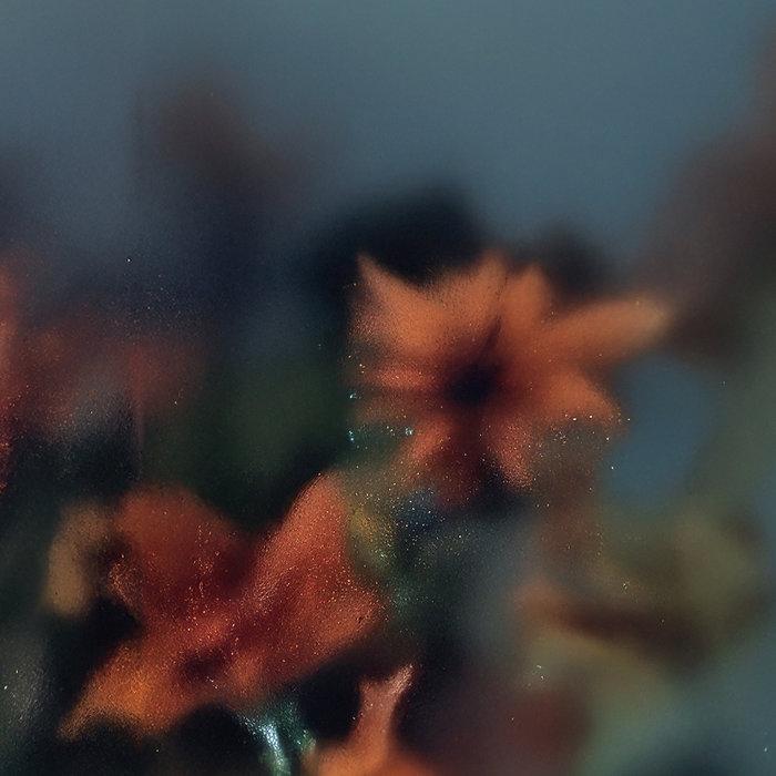 Soft Wish - Erik M