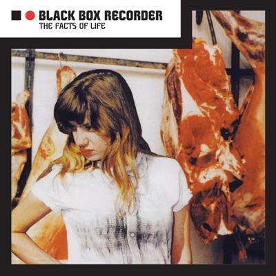  - Black Box Recorder 