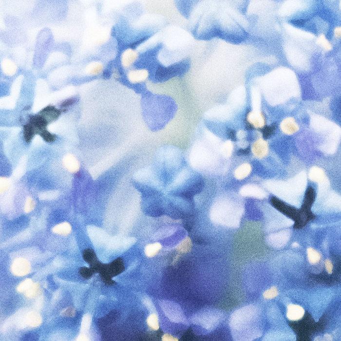 resolve / relate 05 - fields we found