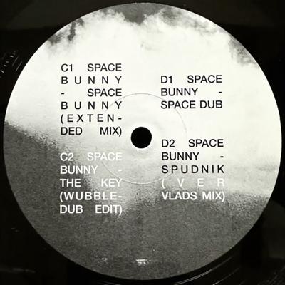  - Space Bunny