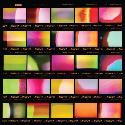 Viewfinder - Wendy Eisenberg