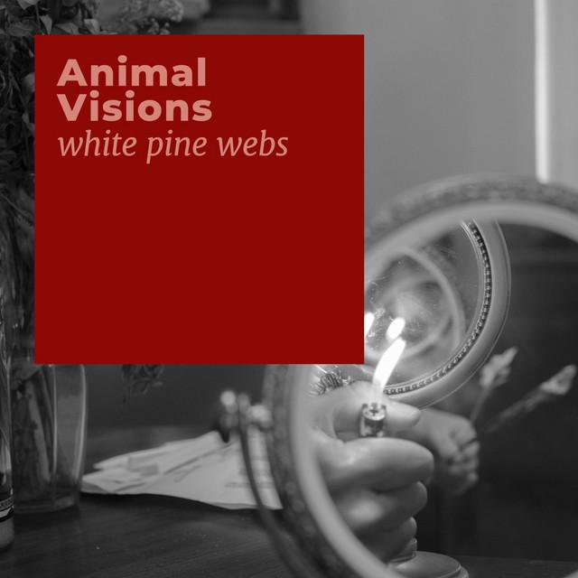 white pine webs - Animal Visions, daily rituals, Jayhaych