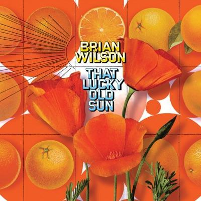 Smiley Smile/Wild Honey - Brian Wilson
