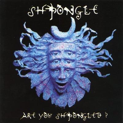  - Shpongle