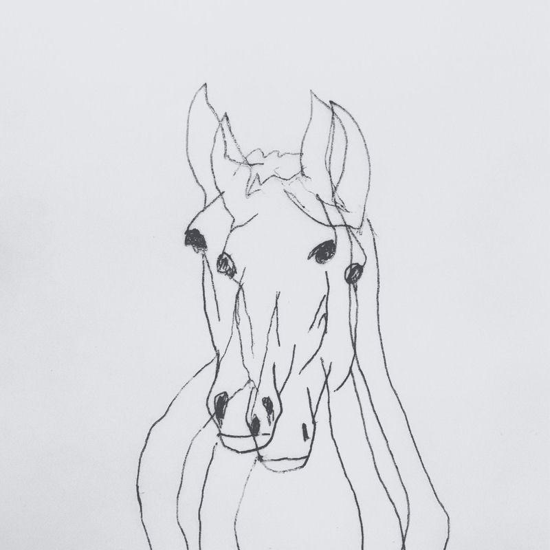 Hold Your Horses - Swimming Pool