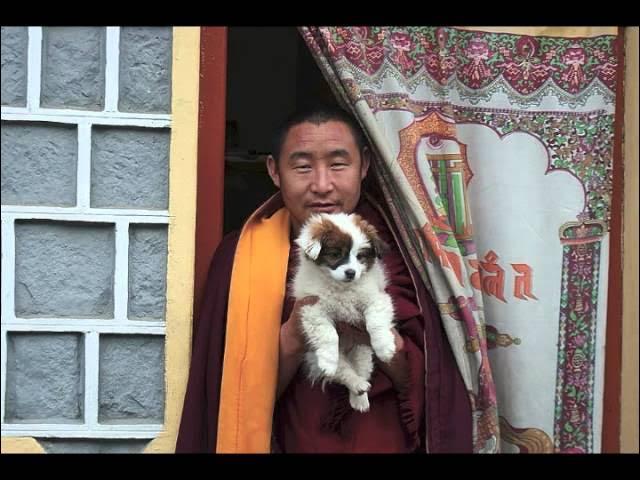 The Lama's Chant (Songs Of Awakening) - Lama Gyourme & Jean-Philippe Rykiel