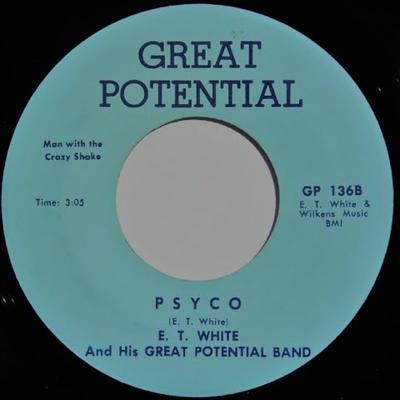  - E.T. White And His Great Potential Band