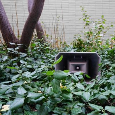 Muzak for the Encouragement of Unproductivity - Jasmine Guffond