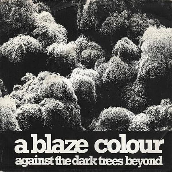 Against The Dark Trees Beyond - A Blaze Colour