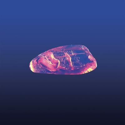 SSTR/VA01 - Shcuro