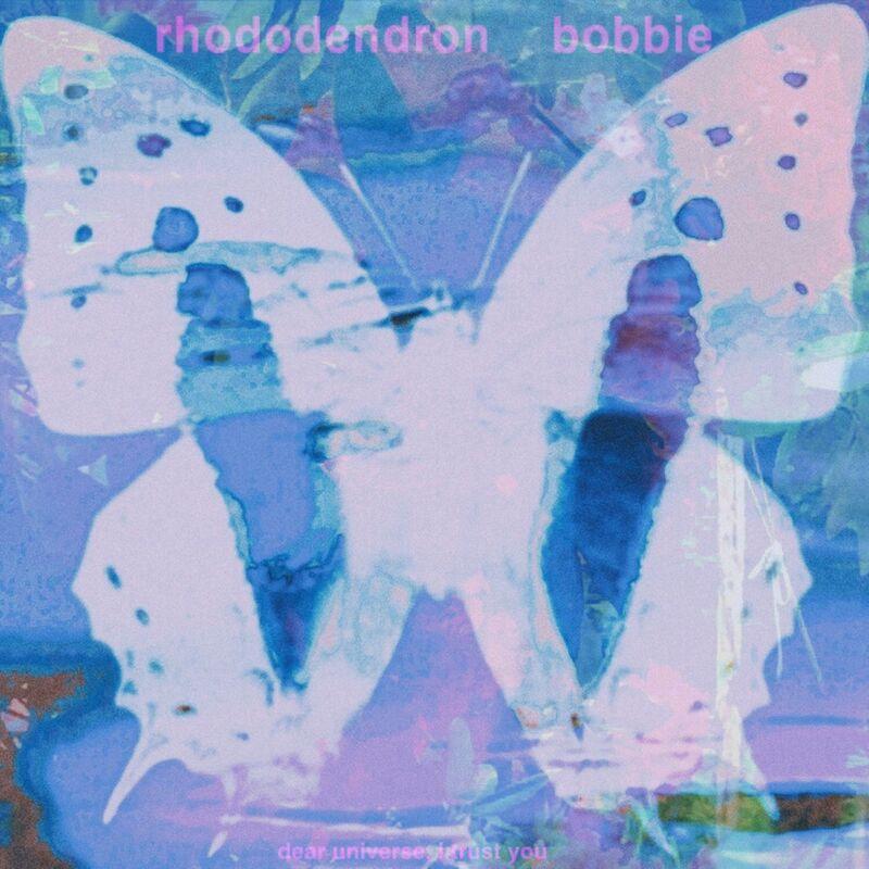 rhododendron - b*o*b*b*i*e