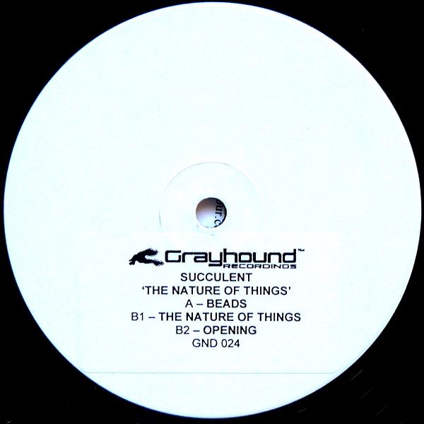 The Nature Of Things - Succulent