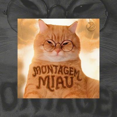 When It All Comes Down - Miaow