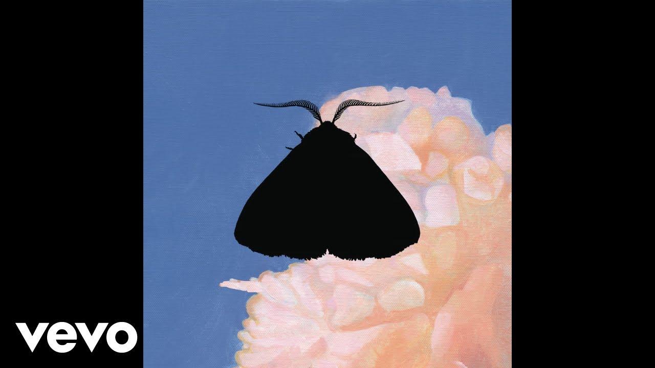 Moth to the Flame (Whatever/Whatever Remix) - Chairlift