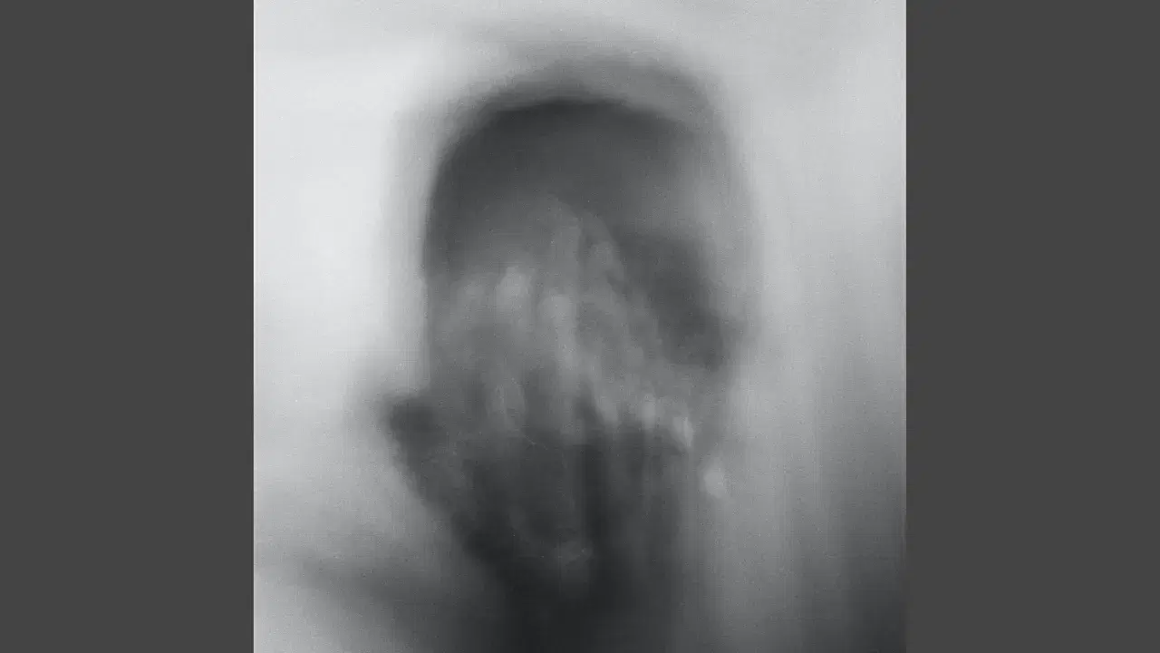 The Silent Flight. - Manny Noir