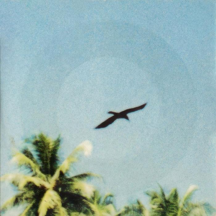Beached - Orbital, Angelo Badalamenti