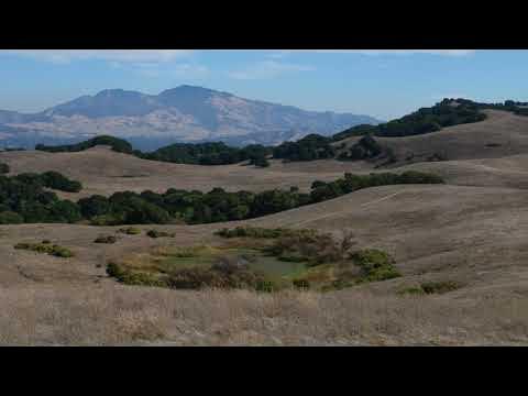 Music and Poetry of the Kesh - Todd Barton & Ursula K. Le Guin