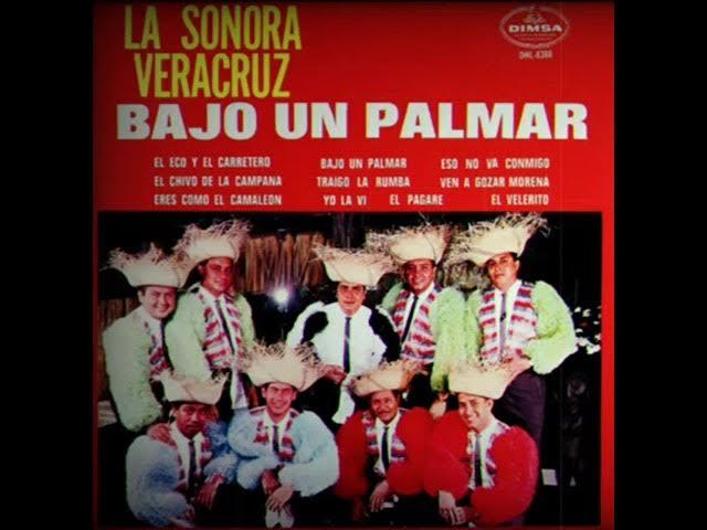  - La Sonora Veracruz