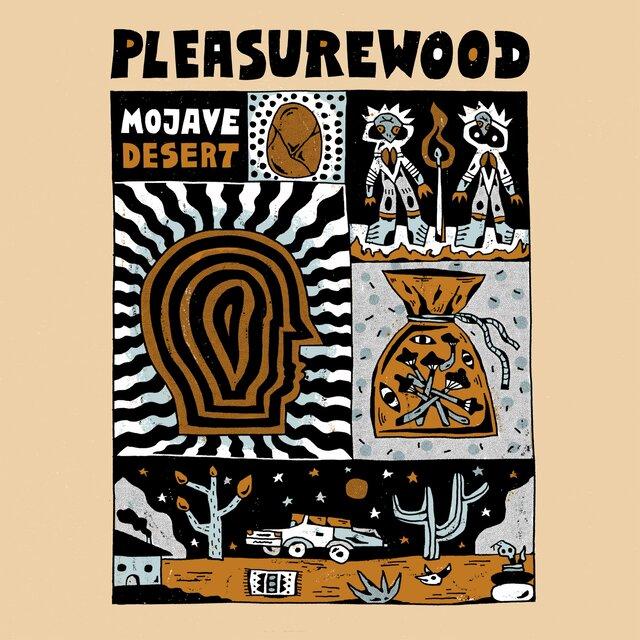Mojave Desert - Pleasurewood