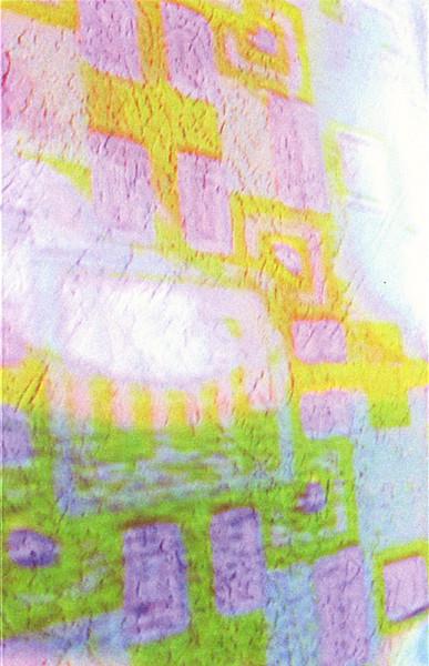 The Mind Of Roses - Baronic Wall