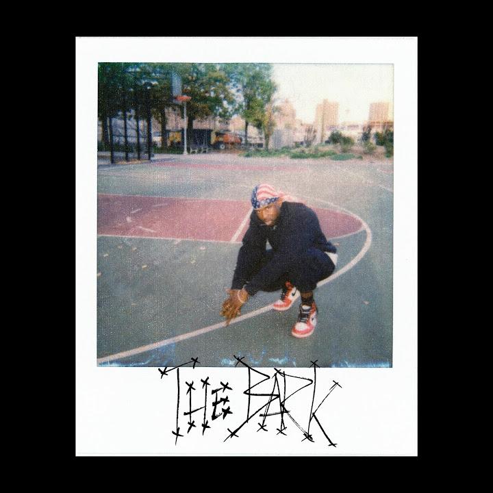 The Bark - A$AP Twelvyy