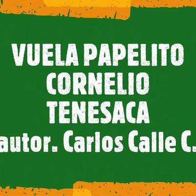 - dúo cabezas velasquez