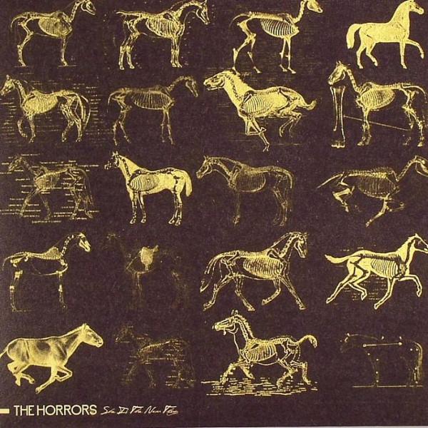 Strange House - The Horrors