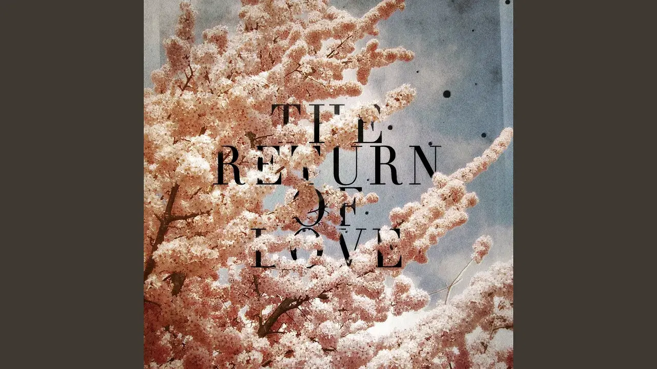The Return Of Love - Woolfy vs Projections