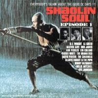 Shaolin Soul, Episode 1 - Booker T. & The MG's