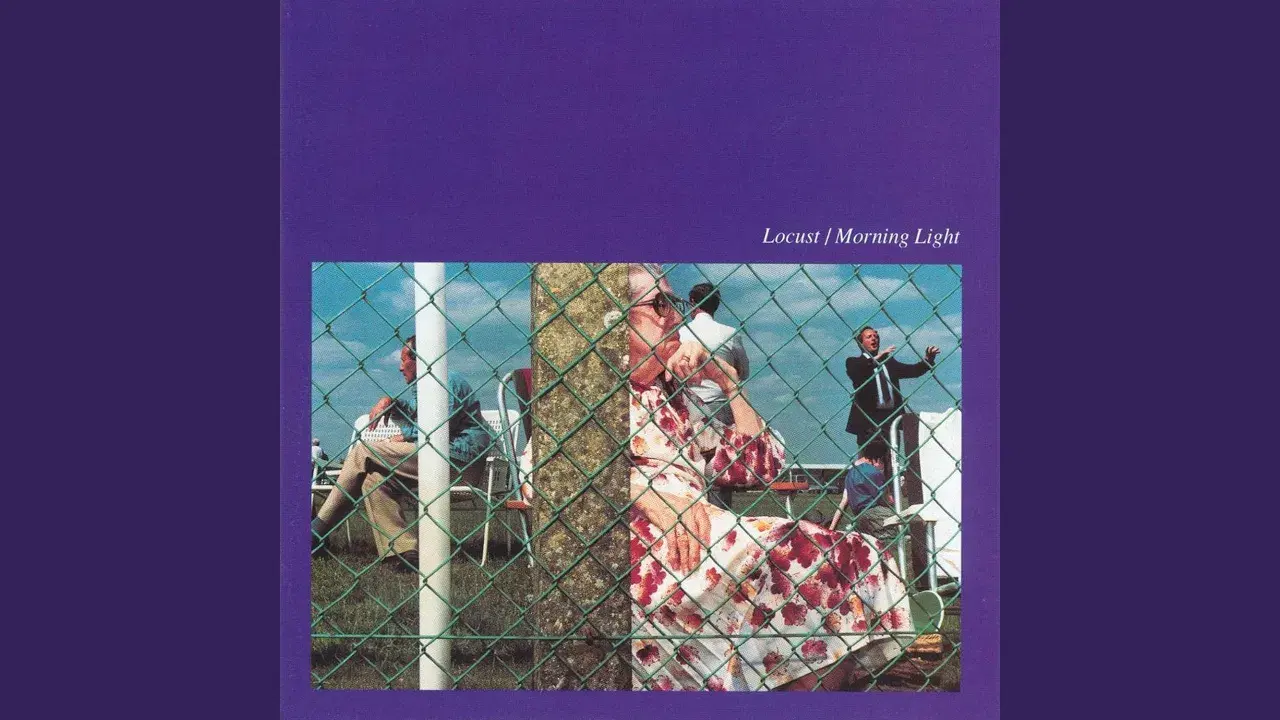 Morning Light - Locust