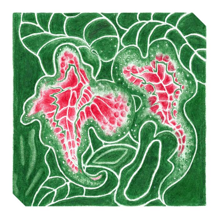 Elephant's Ear / Viper's Bowstring (Pre-release single) - Double Geography