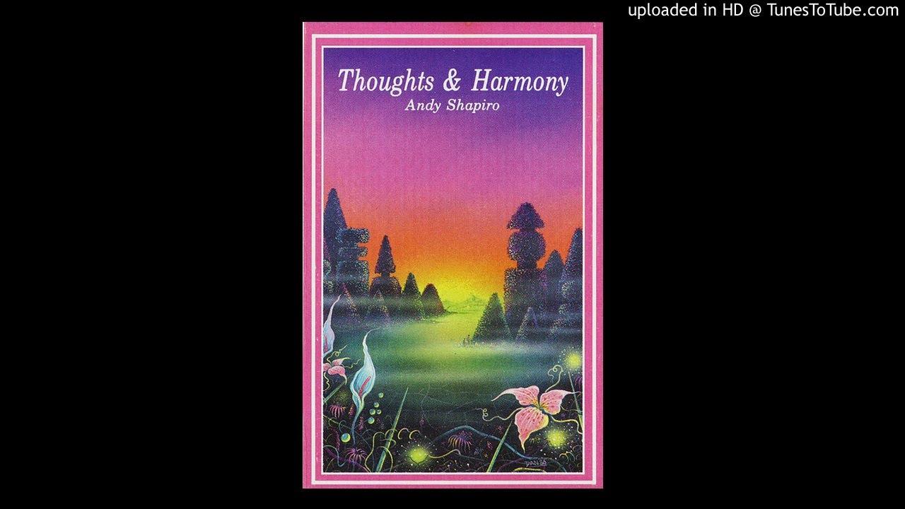 Thoughts & Harmony - Andy Shapiro