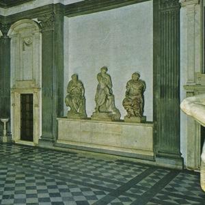 St. Catherine - Ducktails