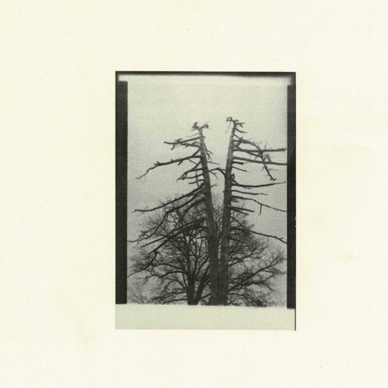 demos - Cancer House