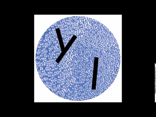 Perfect Stranger EP - Arthur Johnson
