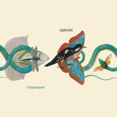 Triptyques - Spëcht, Simon Leleux, Robbe Kieckens, Célestin Massot