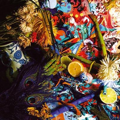 Summertime Clothes - EP - Animal Collective