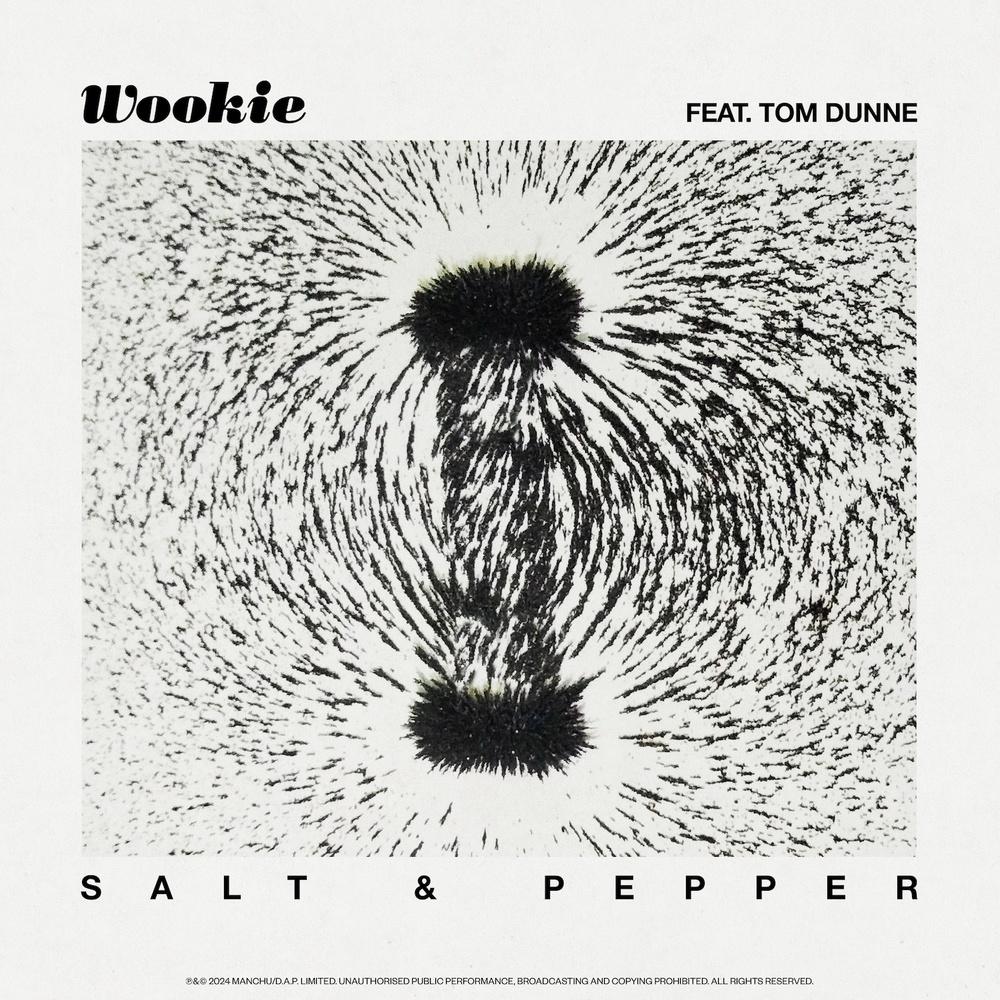 Salt & Pepper - Wookie ft. Tom Dunne